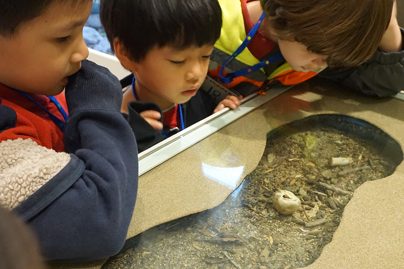 Field Trip Grants Pasadena Educational Foundation