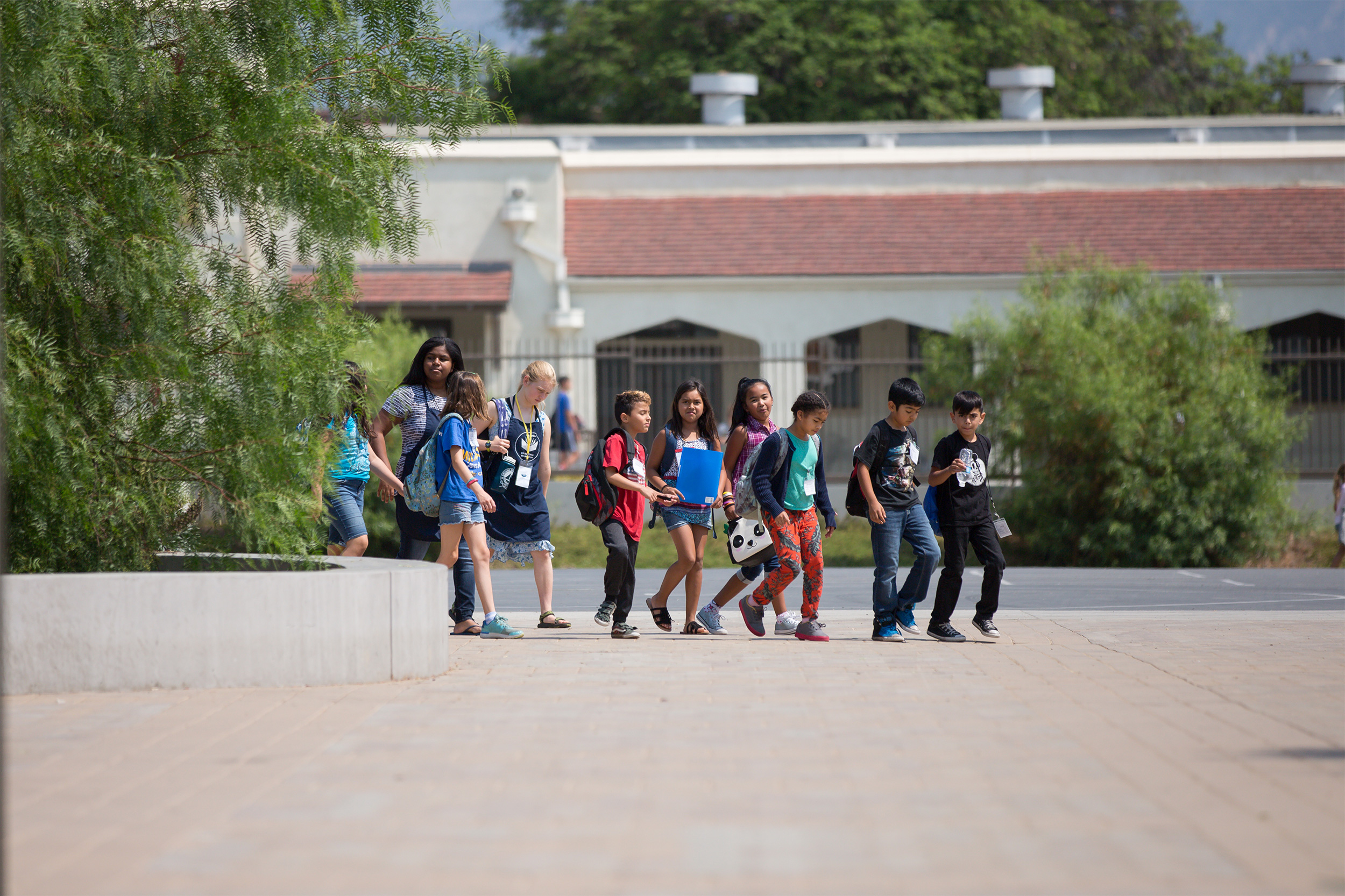 Page Elements/Widgets Pasadena Educational Foundation