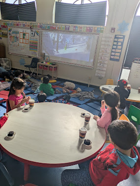 PXL_20241220_192143609