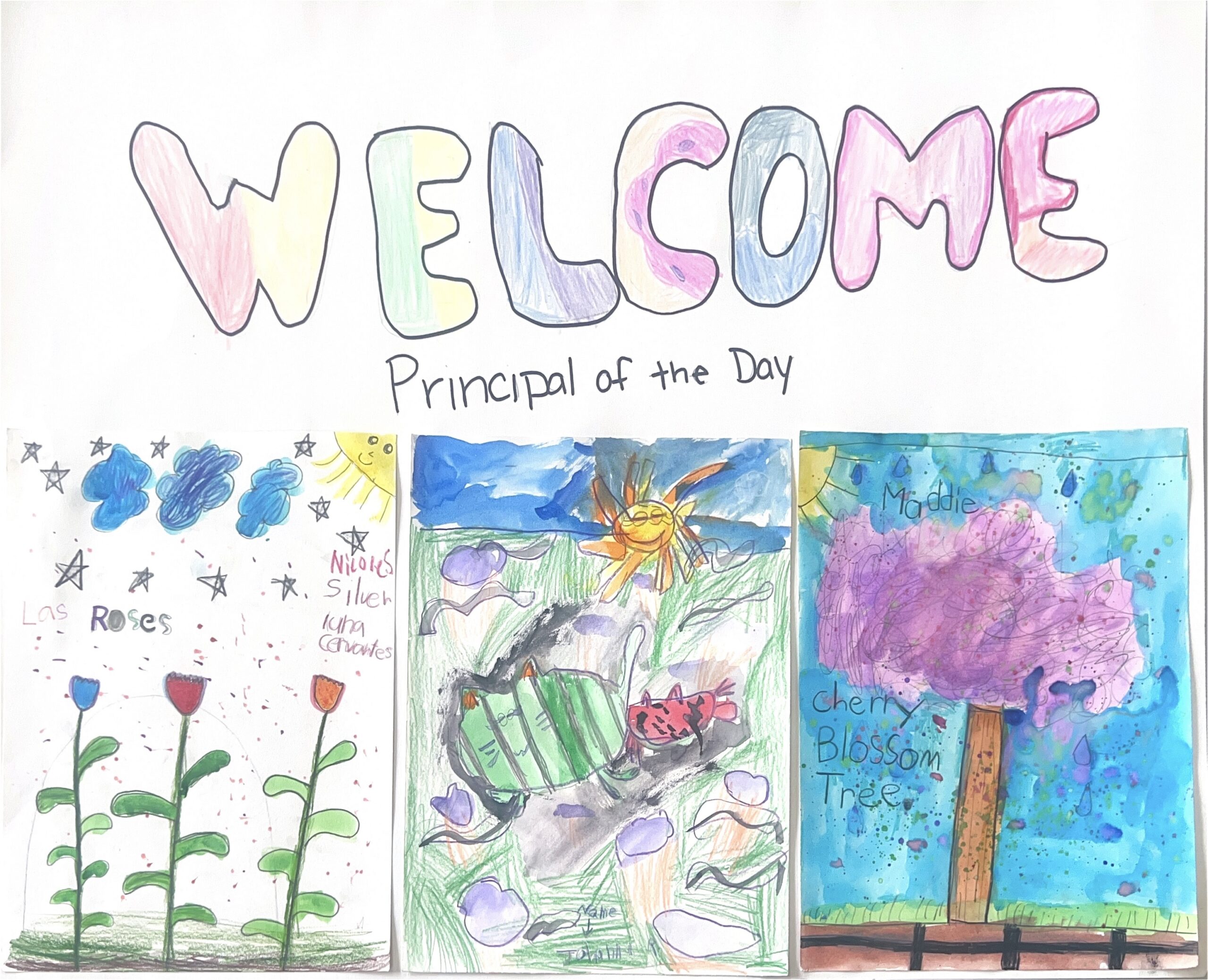 Norma Coombs-Silver Johanna Maddie 2nd Grade